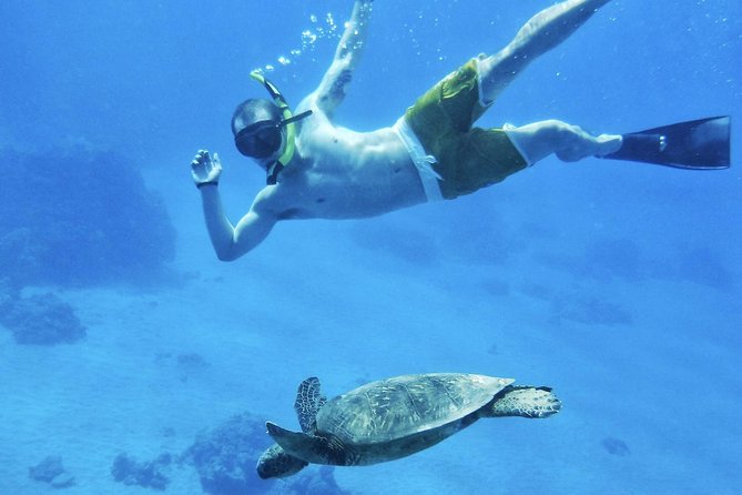 West Maui Half Day Snorkel From Ka'Anapali Beach - Breakfast and Lunch Menu