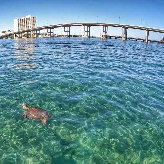 West Palm Beach: Private Peanut Island Boat & Snorkel Tour - Onboard Amenities