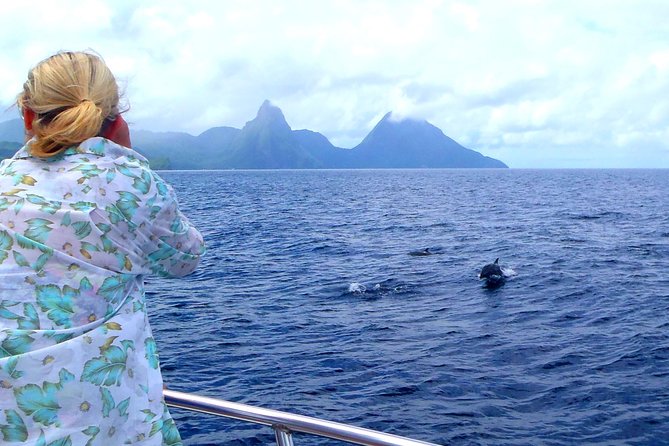 Whale and Dolphin Watching Cruise in St Lucia - Additional Information