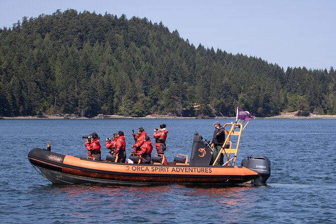 Whale Watching Tour in a Zodiac Boat in Victoria - Meeting and Pickup