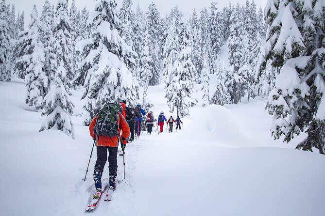 Whistler Intro to Backcountry Skiing and Splitboarding - Backcountry Safety Basics