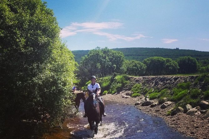 Wicklow Mountains Horse Trekking - Cancellation Policy