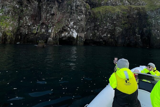 Wildlife, Scenery and Cave Exploring Tour! - Taking in Native Wildlife Habitat