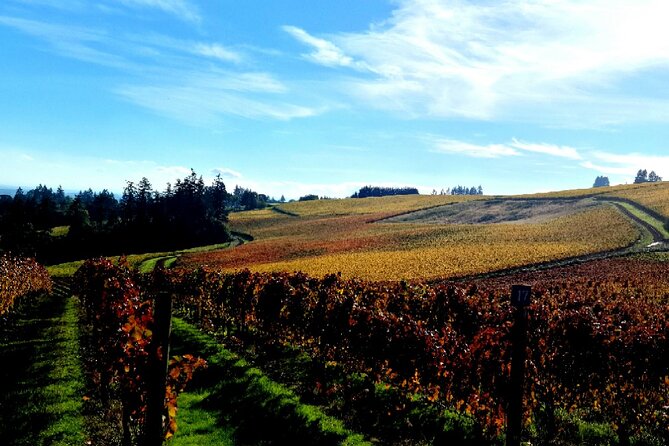 Willamette Valley Wine Tour With Lunch - Guest Feedback