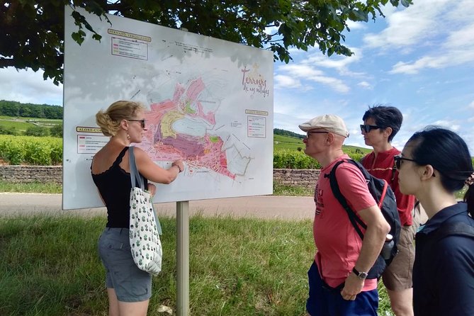 Wine Experience With Tasting in Burgundy - Transportation and Parking