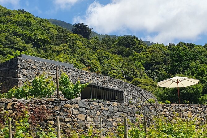 Wine Tasting Experience in Boaventura, Madeira North Coast - Unique Features