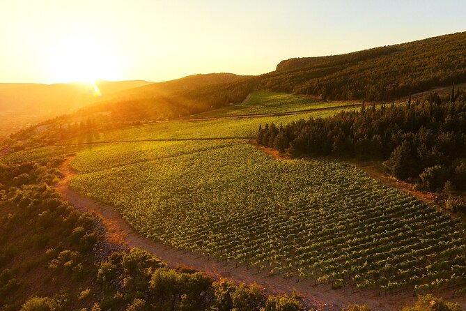 Wine Tasting Grabovac Tour From Makarska - Wine Tasting Details