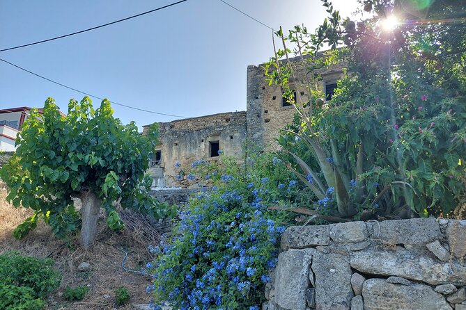 Wine Tasting: Meet the Cretan Vineyard at West Chania - Meeting and Pickup Details