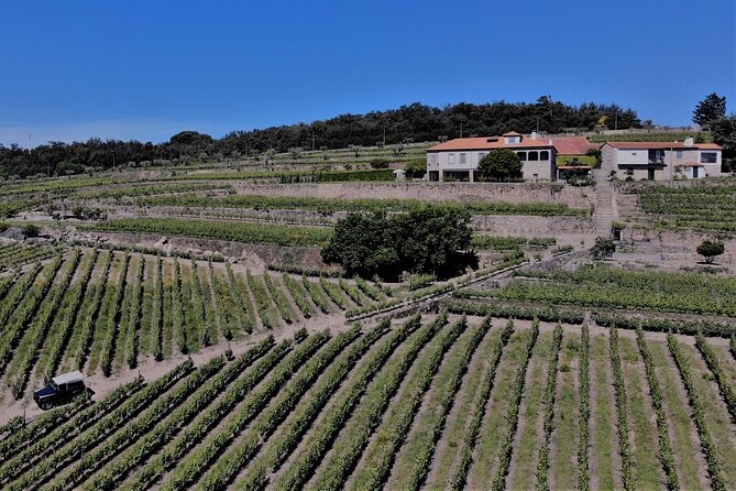 Winery Tour and Wine Tasting at Quinta Da Portela De Baixo in Lamego - Tour of Farms and Winery