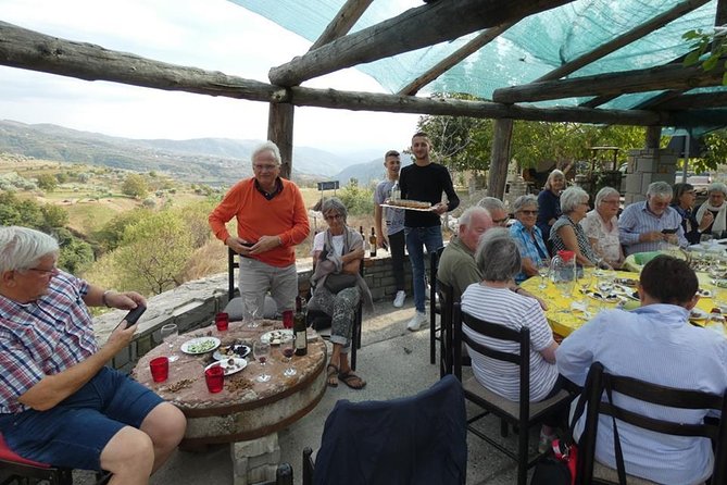 Winetasting Tour in Alpeta Winery - Roshnik Village by 1001 Albanian Adventures - Winetasting Experience at Alpeta