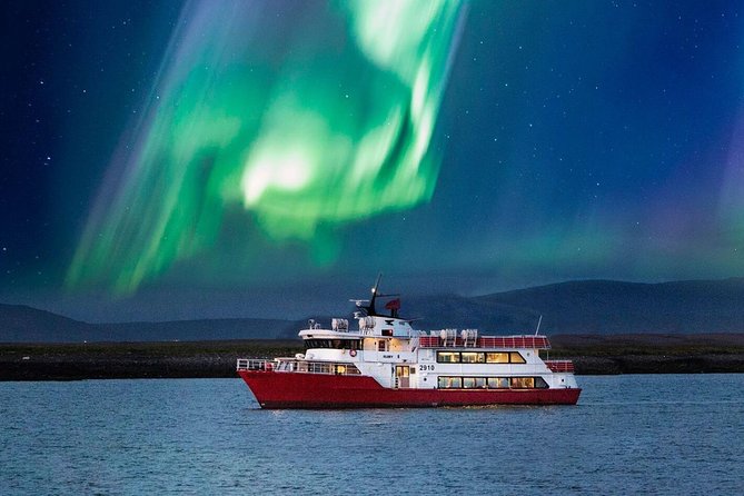 Winter Whale Watching & Northern Lights Cruise | Combo From Reykjavik - Meeting and End Points