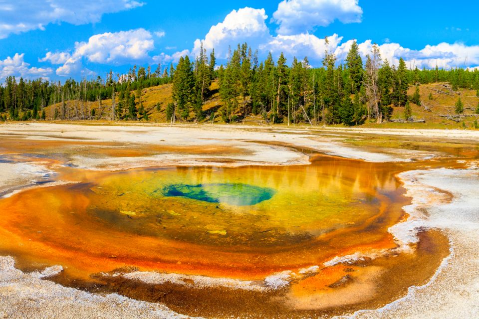 Yellowstone & Rocky Mountain: Self-Guided Driving Audio Tour - Tour Features and Accessibility