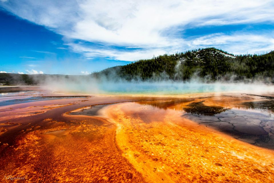 Yellowstone Small-Group Tour From Paradise Valley & Gardiner - Transportation and Park Entry