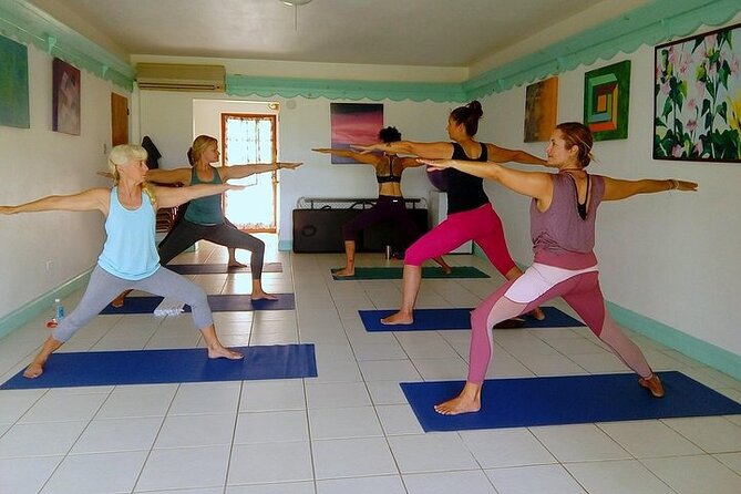 Yoga and Meditation, Group or Private Sessions in Nevis - Physical Fitness Requirements