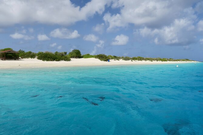 Yoga Session at Pink Beach - What to Expect