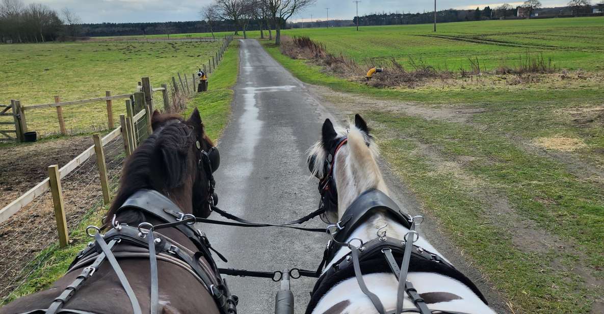 York: Horse Drawn Carriage Ride & Cream Tea - Wildlife Sightings