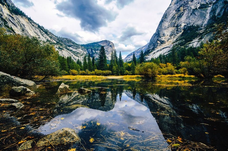 Yosemite'S Natural Wonders: Private Day Tour From San Jose - Transportation and Guide