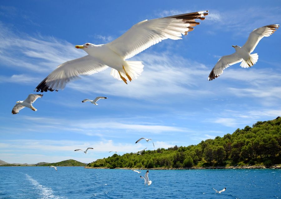 Zadar: Private Boat Trip and Entry to Kornati National Park - Boat and Amenities