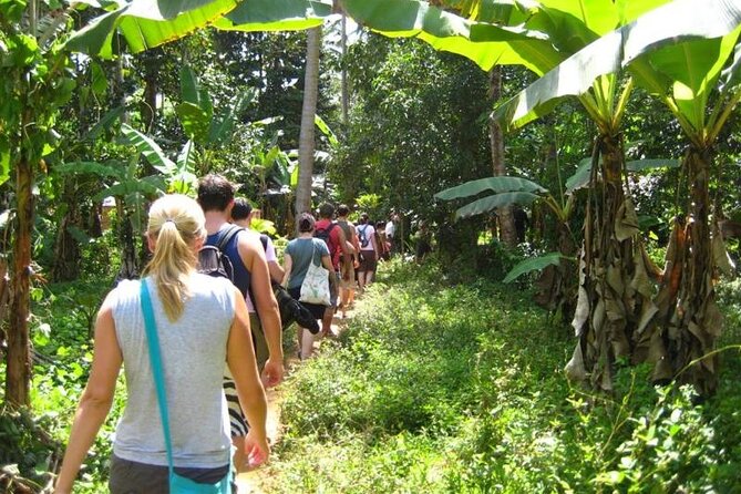 Zanzibar Cooking Class & Spice Tour - Spice Farm Exploration