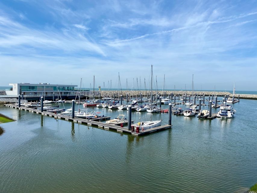 Zeebrugge: Seal Watching Boat Tour With Glass of Champagne - Experience Highlights