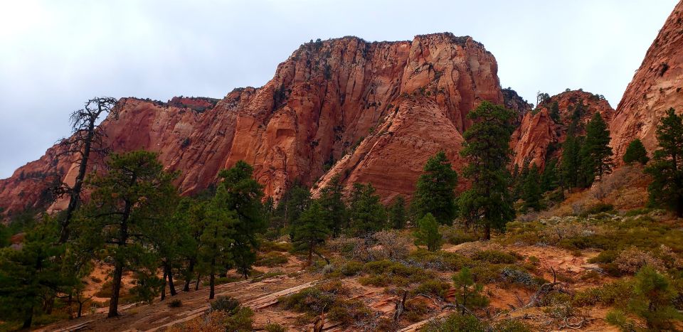 Zion National Park - Kolob Terrace: 1/2 Day Sightseeing Tour - Inclusions