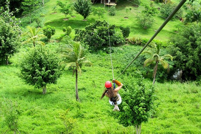 Zip Line in Punta Cana - Pricing and Booking Details