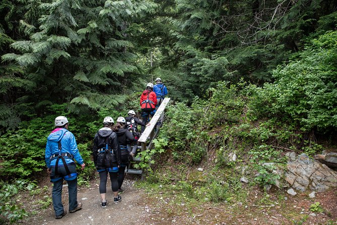 Zipline Adventure in Whistler - Meeting and Transportation