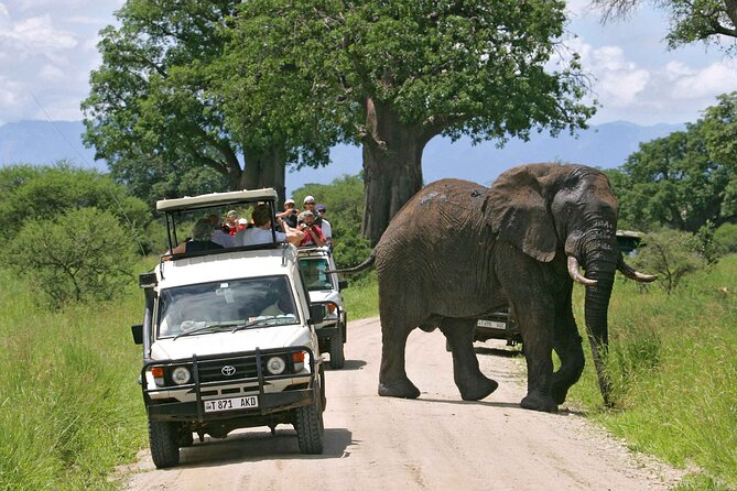 3days Luxury Safari To Tarangire Ngorongoro Crater And Manyara Tour Overview