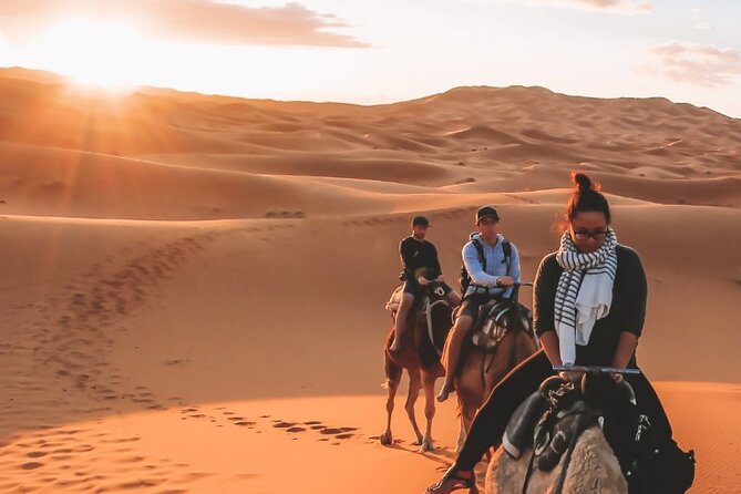 4 Day Desert Tour From Marrakech - Key Points