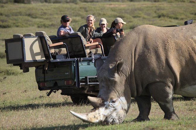 4-Day Garden Route Tours From Cape Town With Game Drive - Key Points