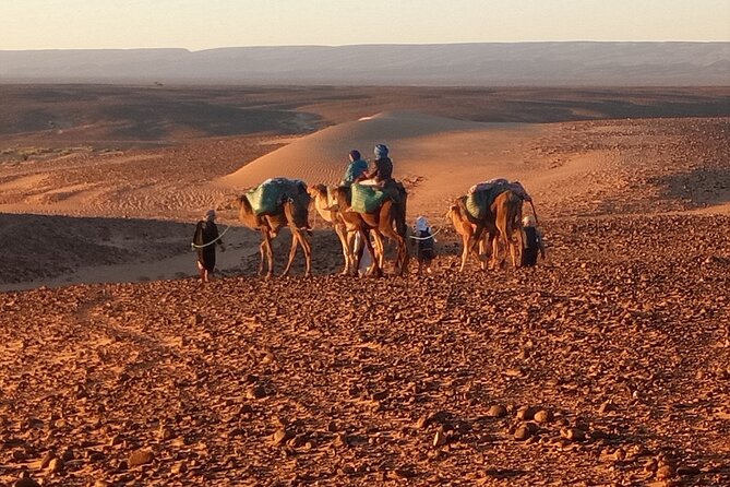 4 Day Private Desert Trek From MHAMID to Chegaga - Key Points