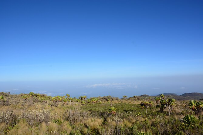 4 Days Mount Elgon - Tour Overview