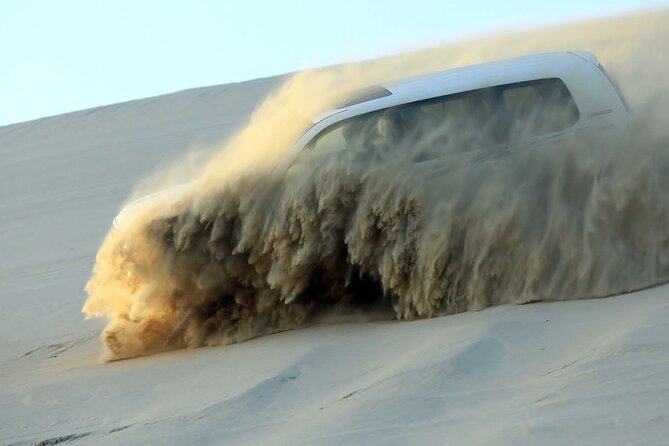 4 Hour Qatar Desert Safari Tour - Key Points