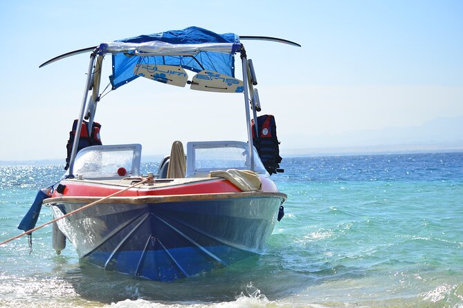 4 Hours Private Speed Boat Swimming With Dolphins Trip & Water Sports-hurghada - Tour Overview