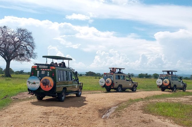 1 Day Safari to Mikumi National Park - Recommended Attire