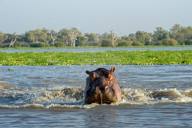 1 Day Tanzania - Selous Game Reserve Safari Tour - Tour Schedule