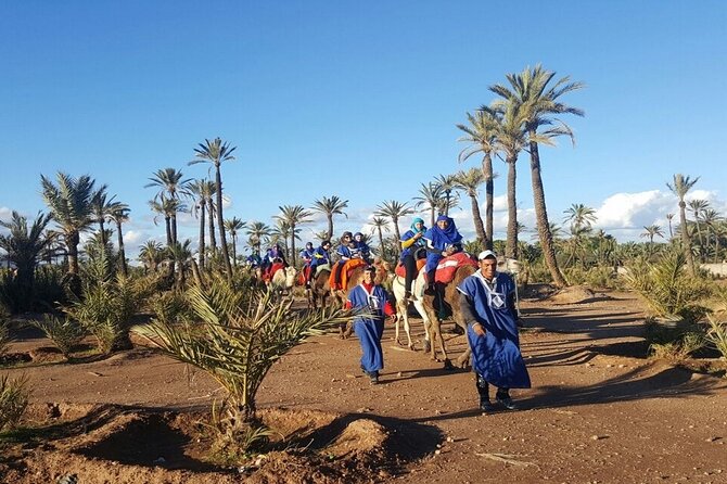 1-Hour Camel Ride and 1-Hour Quad Bike Ride in Marrakech. - Quad Bike Exploration