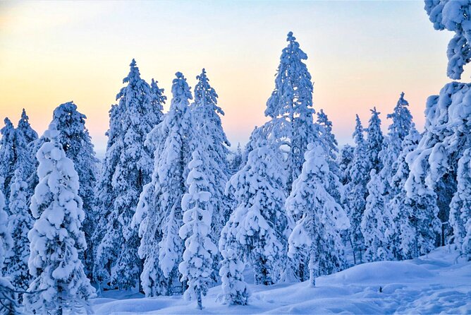 1-Hour Snowmobile Safari Adventure in Rovaniemi - Highlights of the Snowmobile Safari