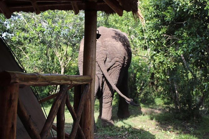 10 Day Western Uganda Budget Wildlife Safari - Health and Accessibility