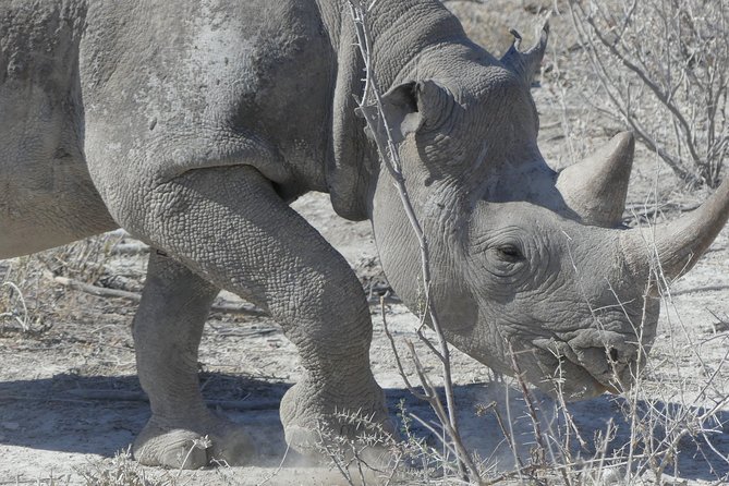 10 Namibia Adventures - Sesriem Dunes and Etosha Pan