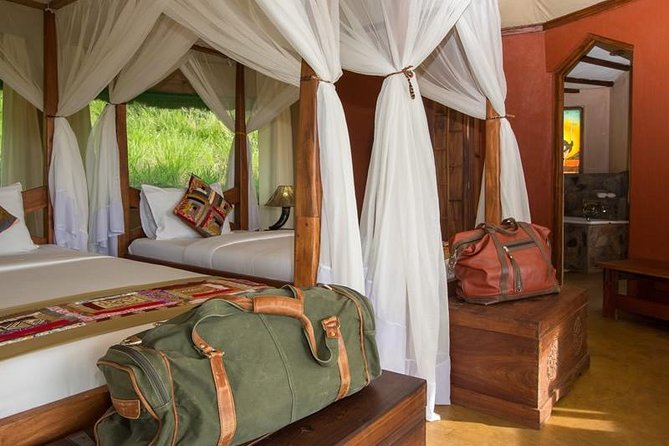 12 Days Kenya and Tanzania Safari Private Lodge From Nairobi - Pricing and Cancellation