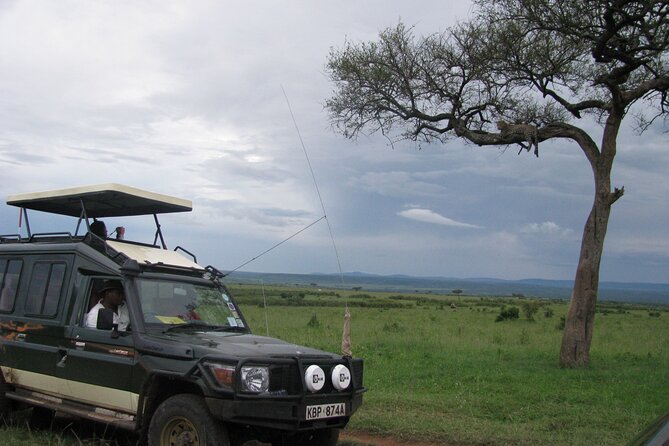 12 Days Private Safari Tour in Kenya and Tanzania - Accommodation and Meals