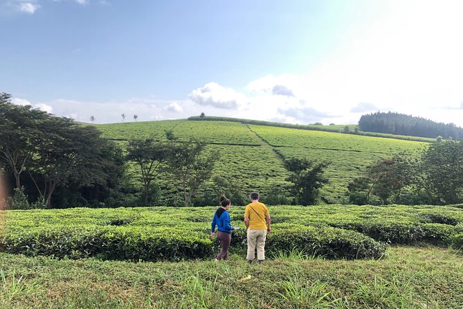 1DAY Jinja Tour & Source of the Nile River Experience - Marveling at Ssezibwa River Falls