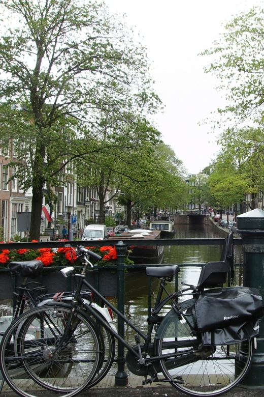 2.5-Hour Amsterdam Sightseeing Tour by Bike - Scenic and Local