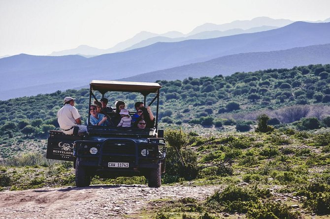 2 Day 4x4 Safaris Tour With South African Wildlife From Cape Town - Overview Highlights