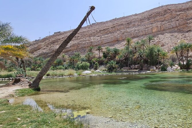 2-Day Private Wahiba Sands Desert Camping Tour From Muscat - Wahiba Sands Desert Experience