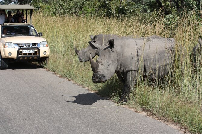 2-Day Safari Tour in Kruger National Park - Reviews