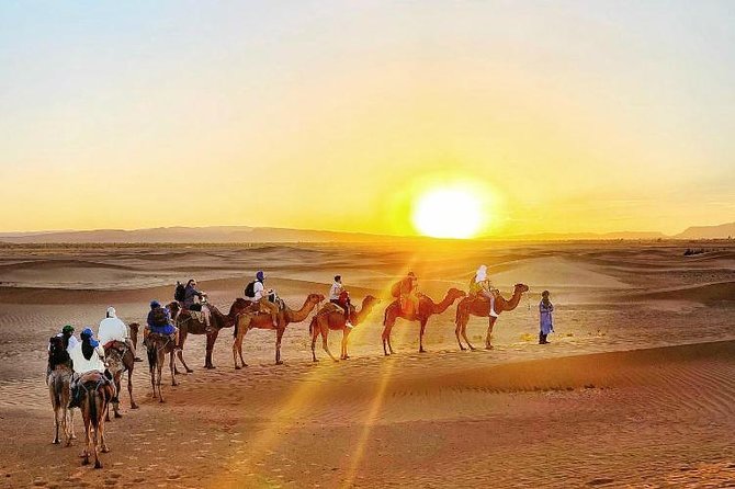 2 Days 1 Night Amazing Zagora Desert Tour From Marrakech - Accommodation and Dining