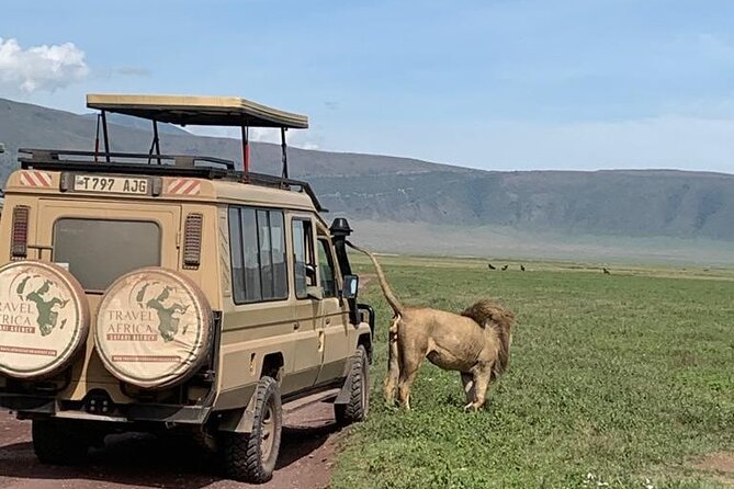 2 Days Group to Tarangire & Ngorongoro Lodge Safari Tanzania - Overnight Lodge Accommodation