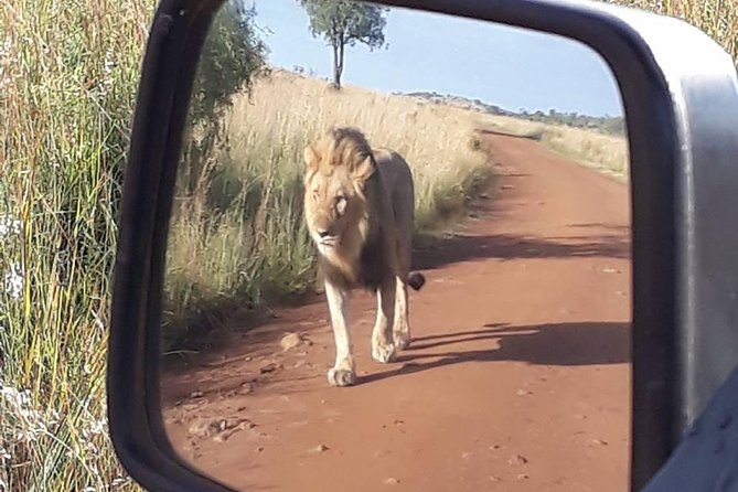 2-Days Pilanesberg Best Chance to View Big 5 With Private Extended Safari - Pricing and Cancellation Policy